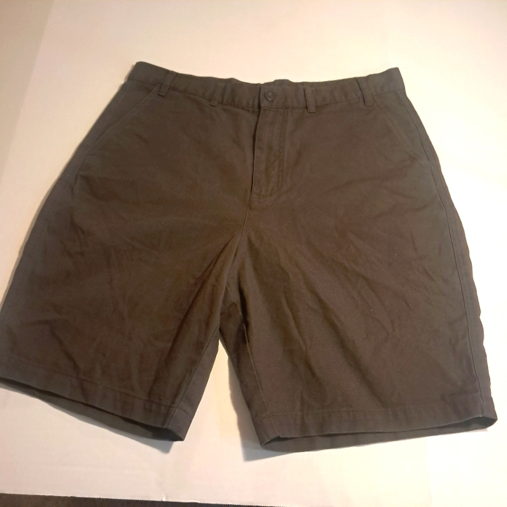 Patagonia Mens Brown Shorts Sz36